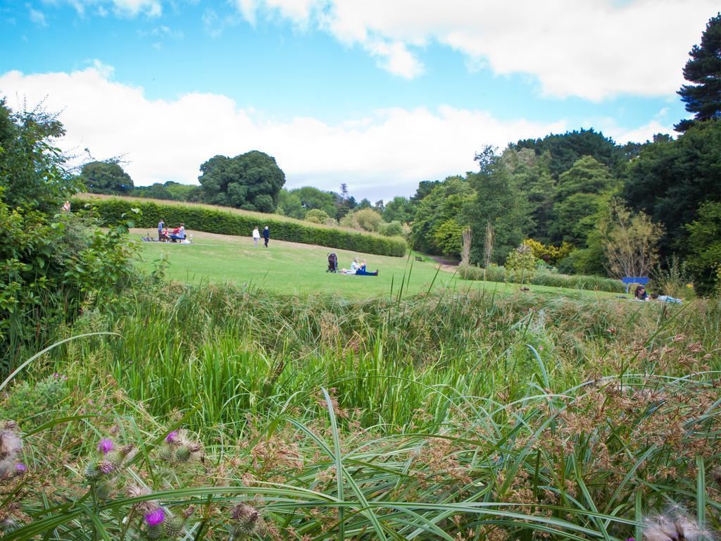 University Of Exeter - Pennsylvania Court Ngoại thất bức ảnh