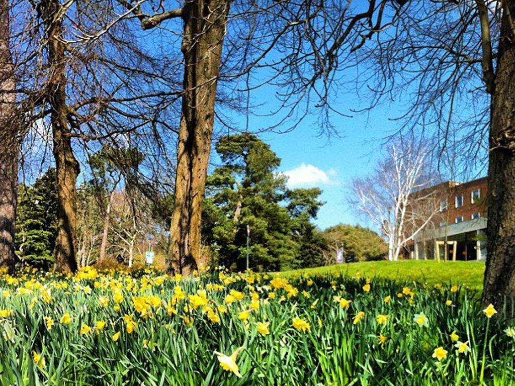 University Of Exeter - Pennsylvania Court Ngoại thất bức ảnh