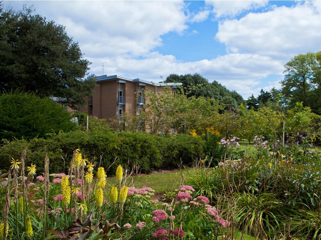 University Of Exeter - Pennsylvania Court Ngoại thất bức ảnh